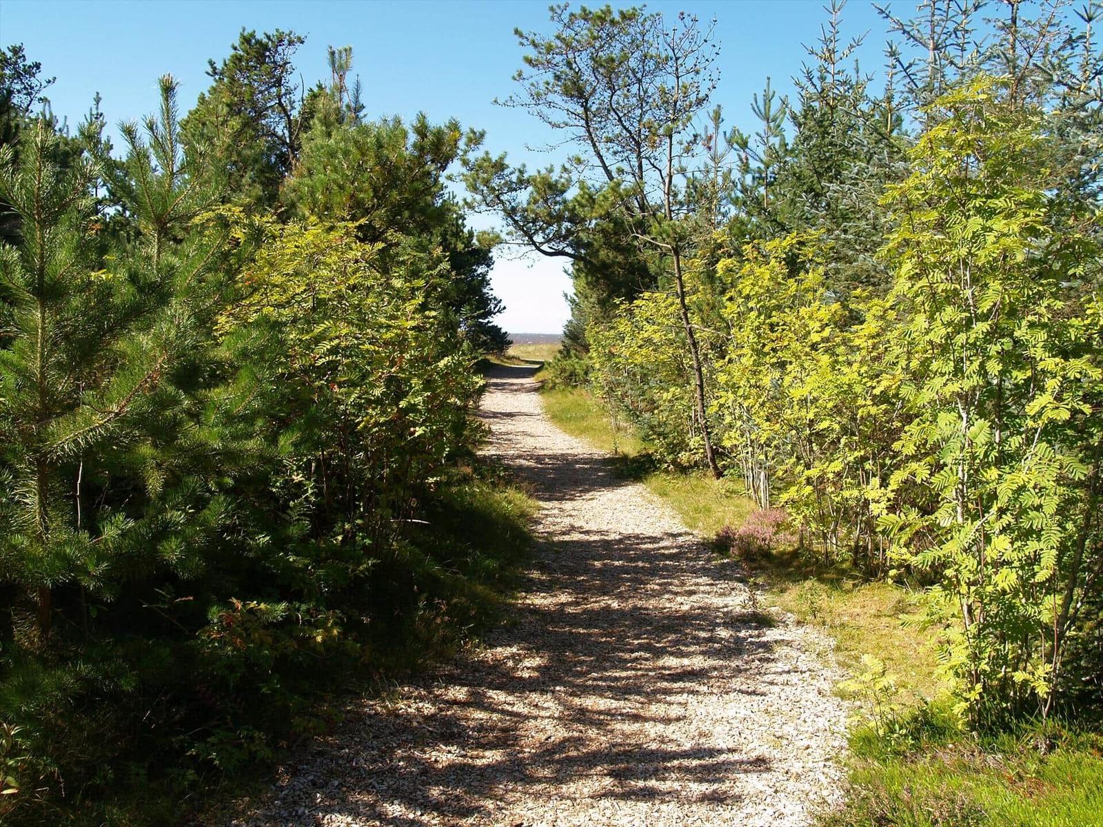 Holzbank an der Küste mit Blick auf das Meer und einen bewachsenen Hang.