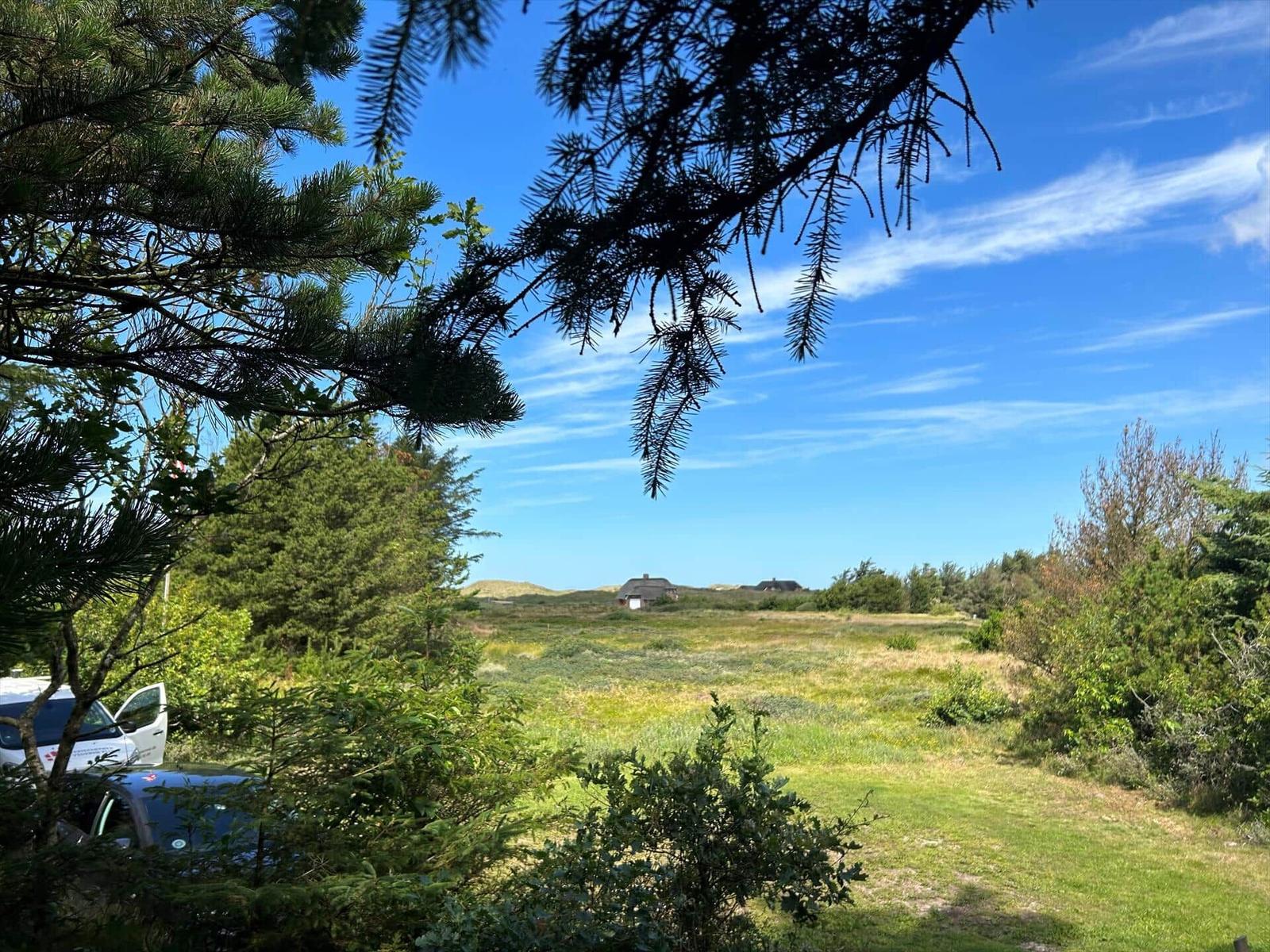 Zwei Holzstühle mit karierten Sitzkissen stehen im Gras unter Bäumen.