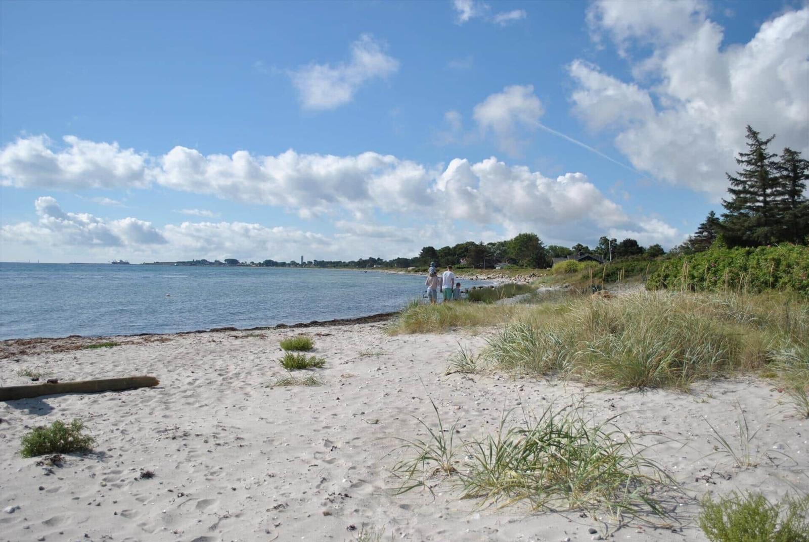 Drei Schafe grasen am Ufer eines Sees mit Blick auf eine Insel.