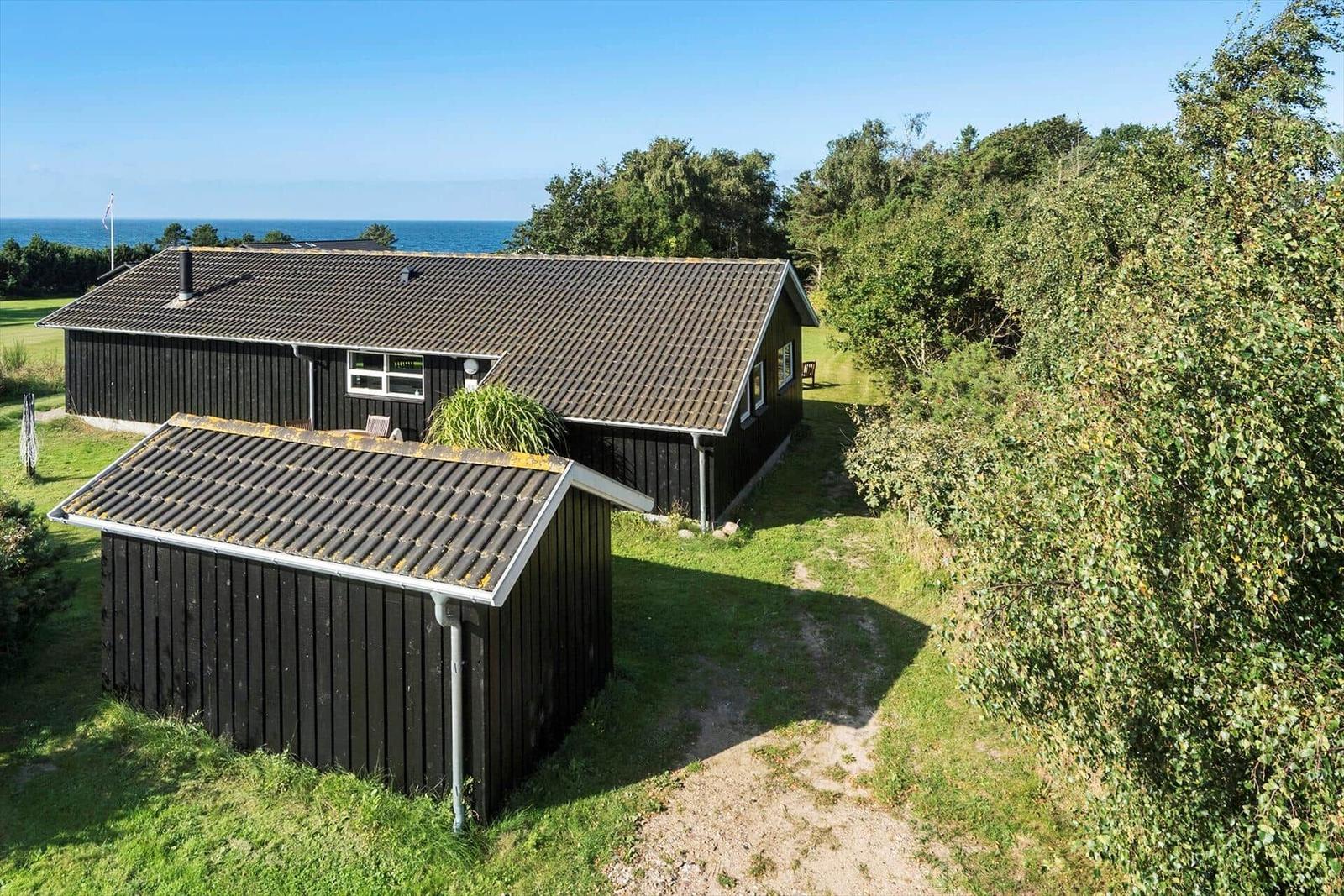 Steiniger Strand mit Dünen und Bäumen unter blauem Himmel