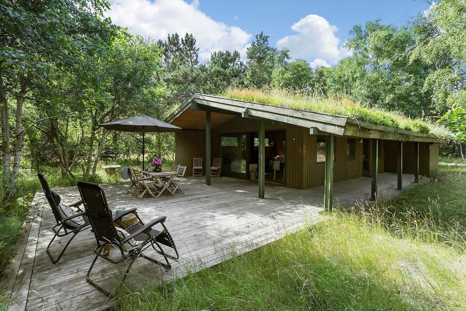 Terrasse mit Holzdecke, Sitzgelegenheiten und grüner Dachbegrünung im Wald.