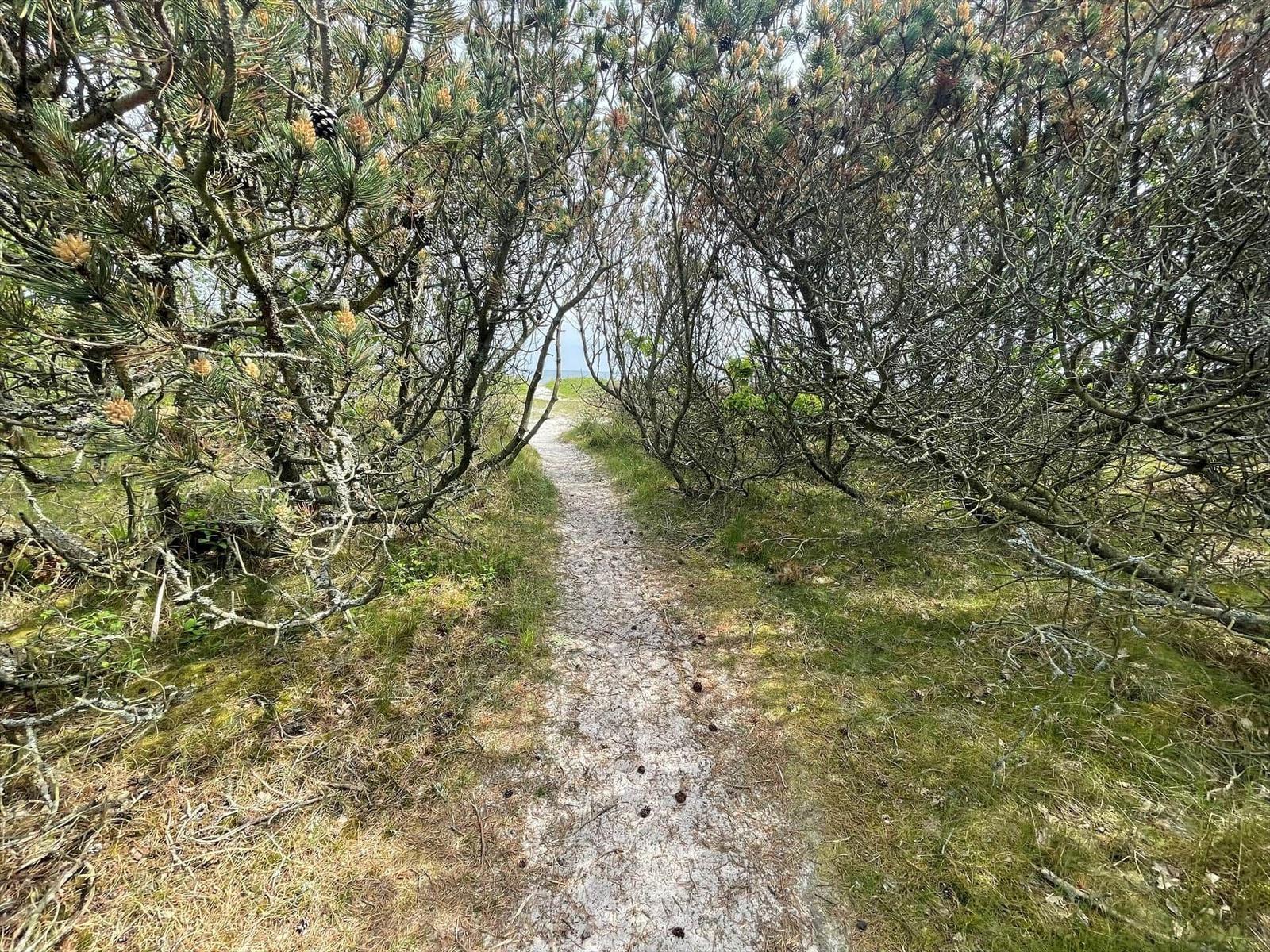 Zwei Personen gehen einen Sandweg entlang zum Strand. Im Hintergrund sind das Meer und ein Segelboot zu sehen.