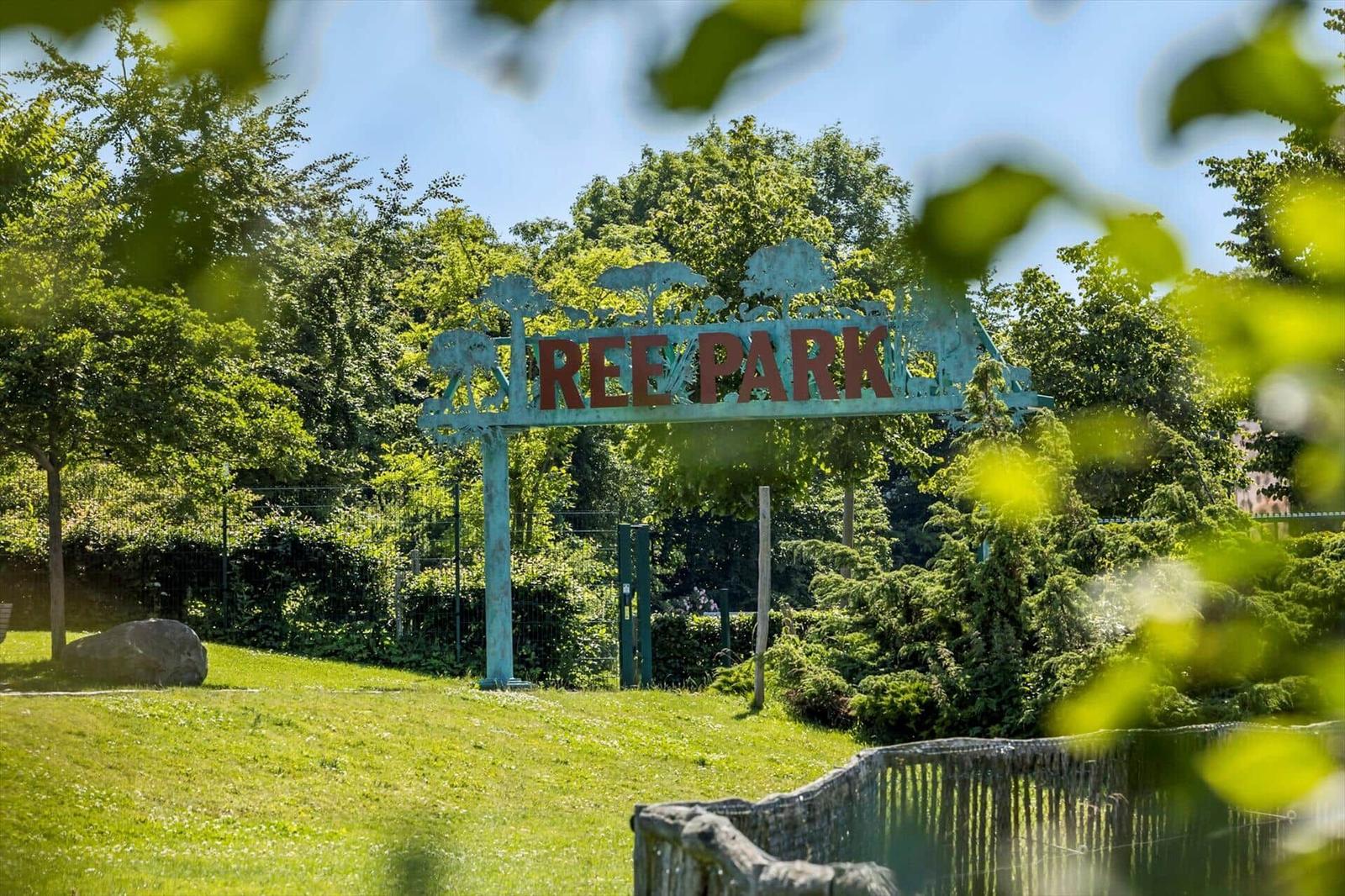 Wegweiser und Mülltonne an einem Waldweg mit Grashügeln und Bäumen.