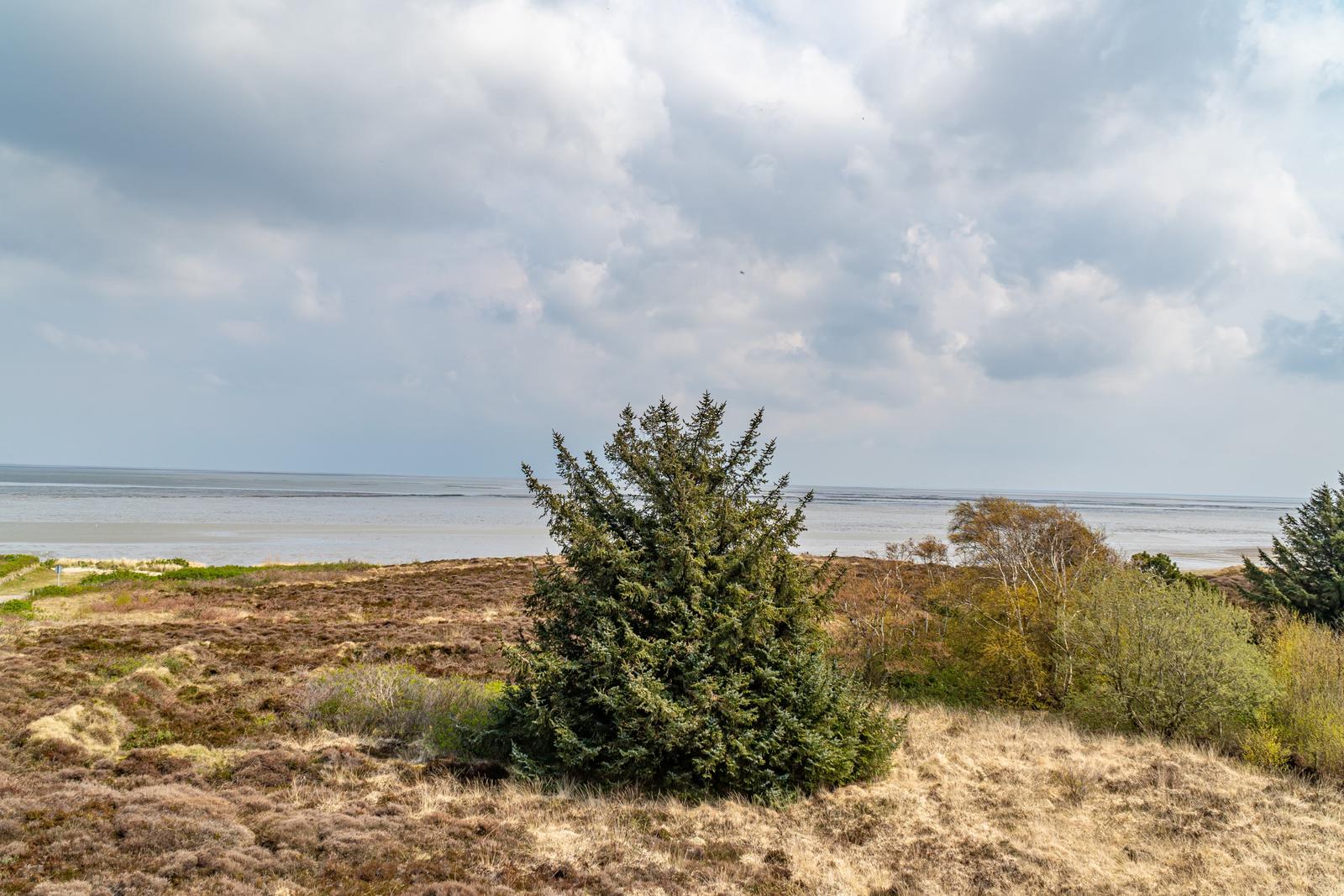 Landschaft