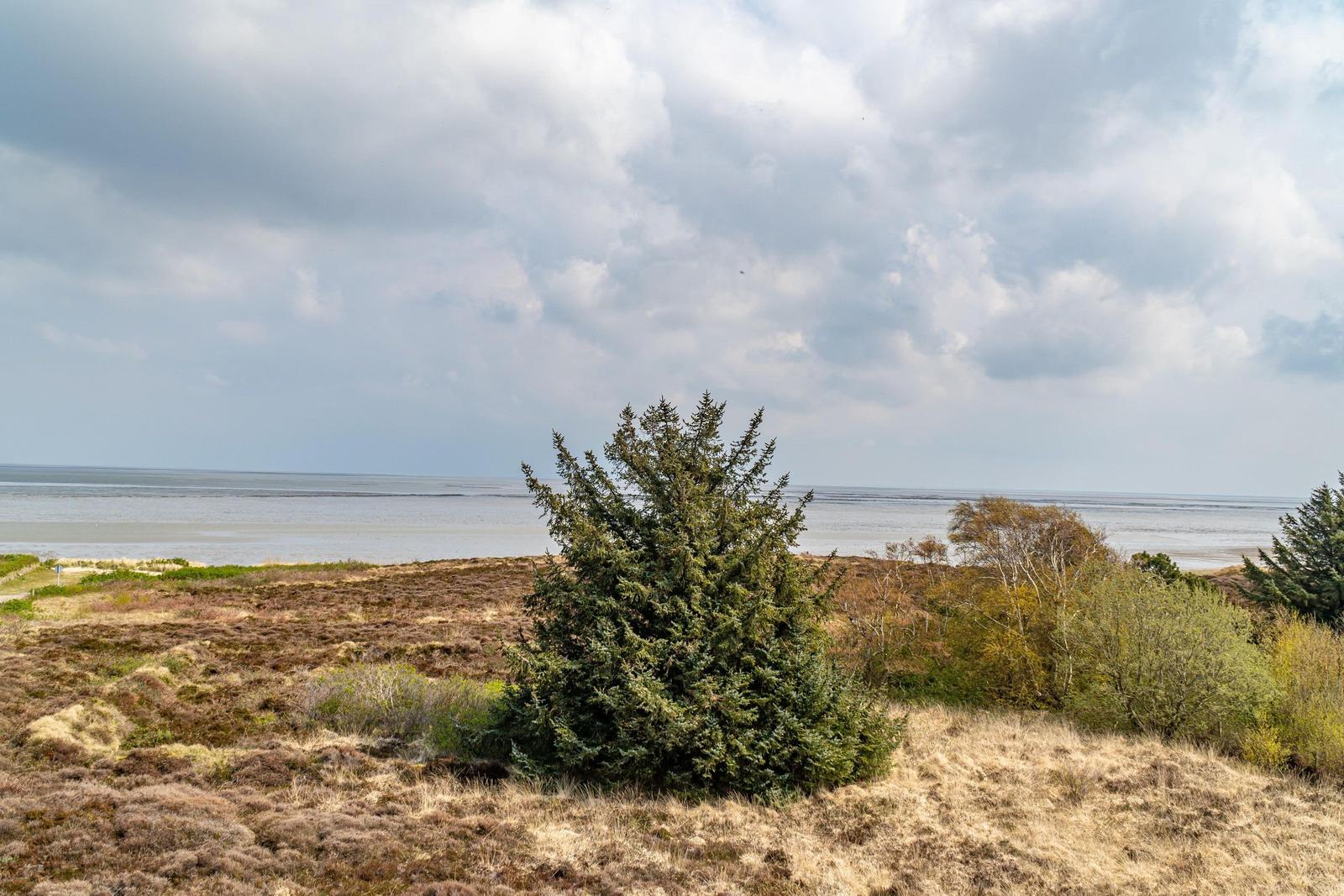 Landschaft