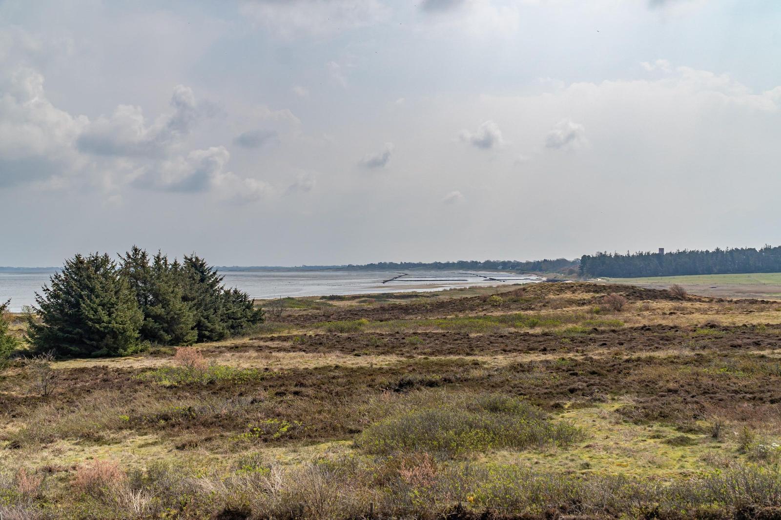 Landschaft