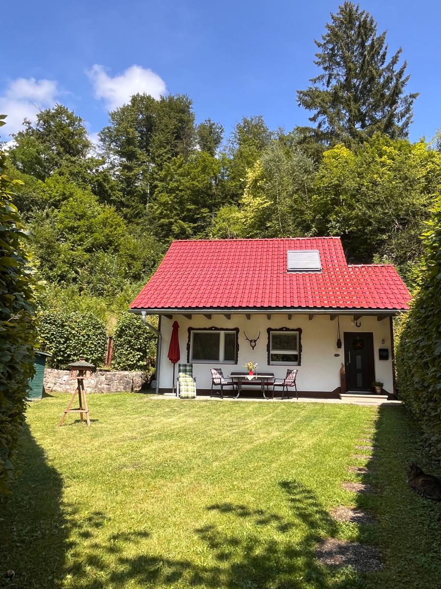 Kleiner Fuchsbau im Sommer