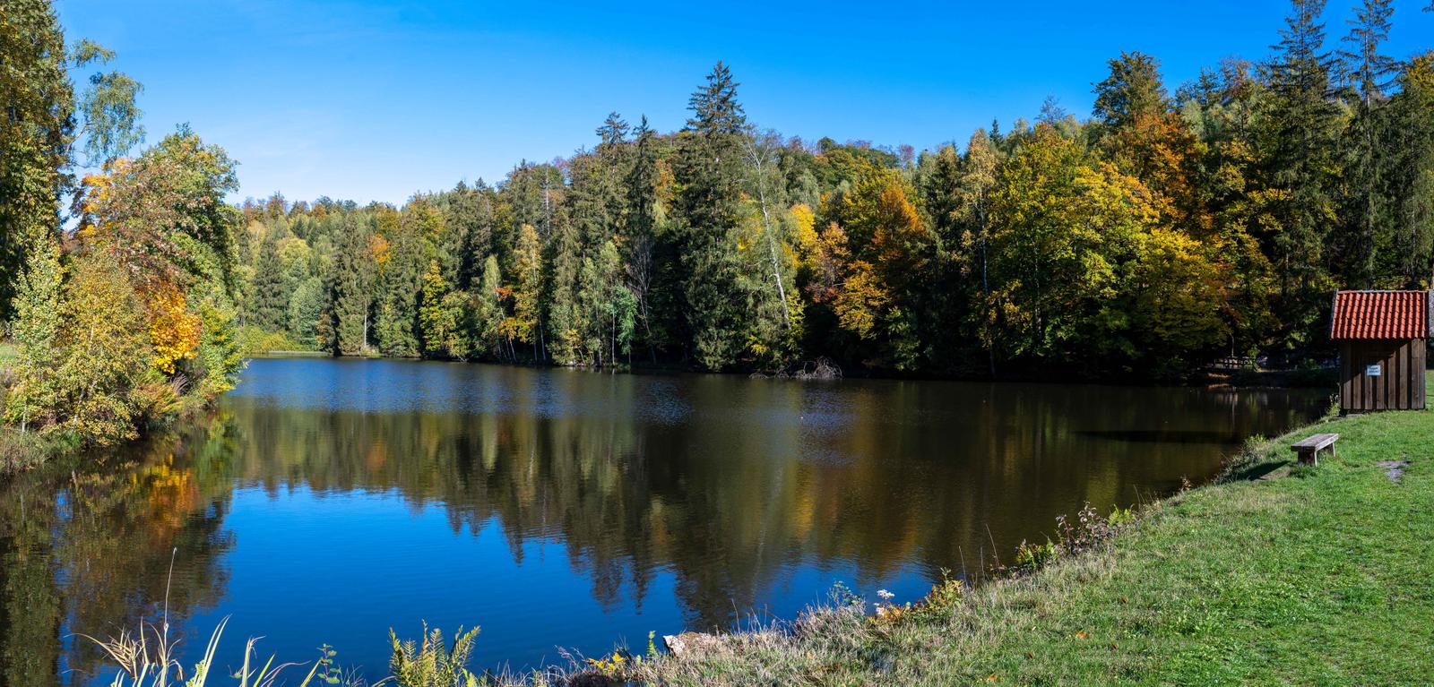 Neuer Teich