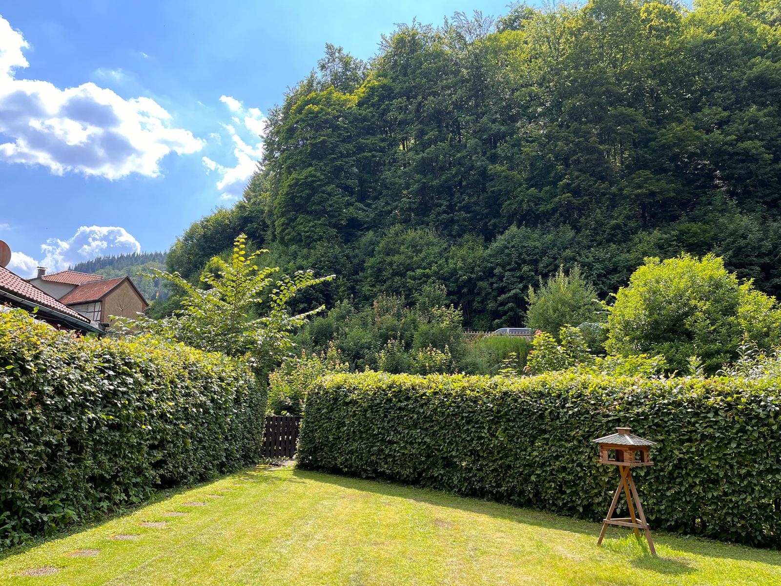 Terrassenblick im Sommer