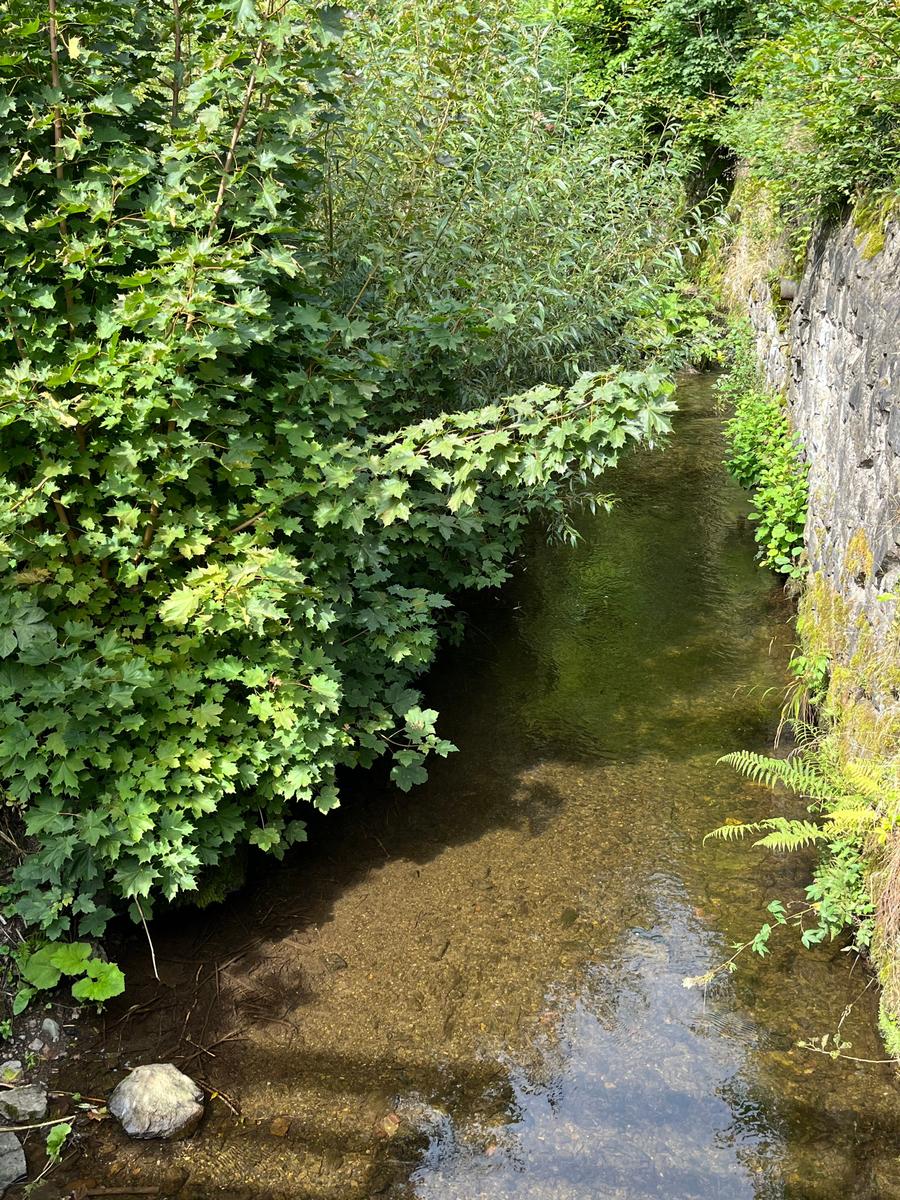 Der Sprakelbach vor dem Kleinen Fuchsbau