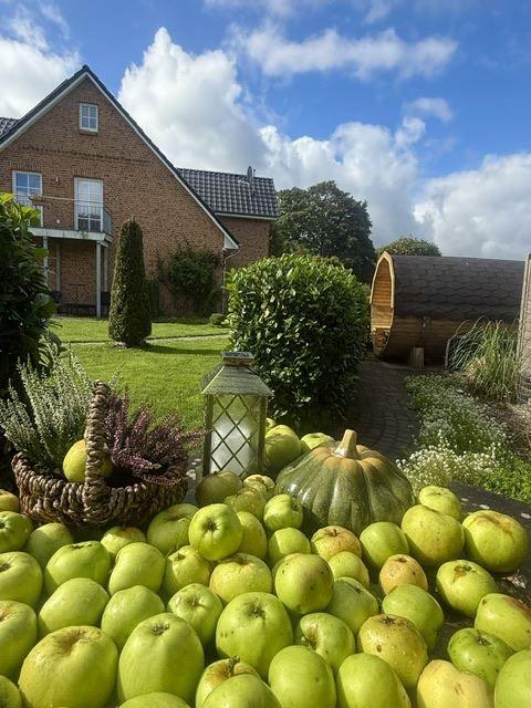 Apfel Herbst in Haby...
