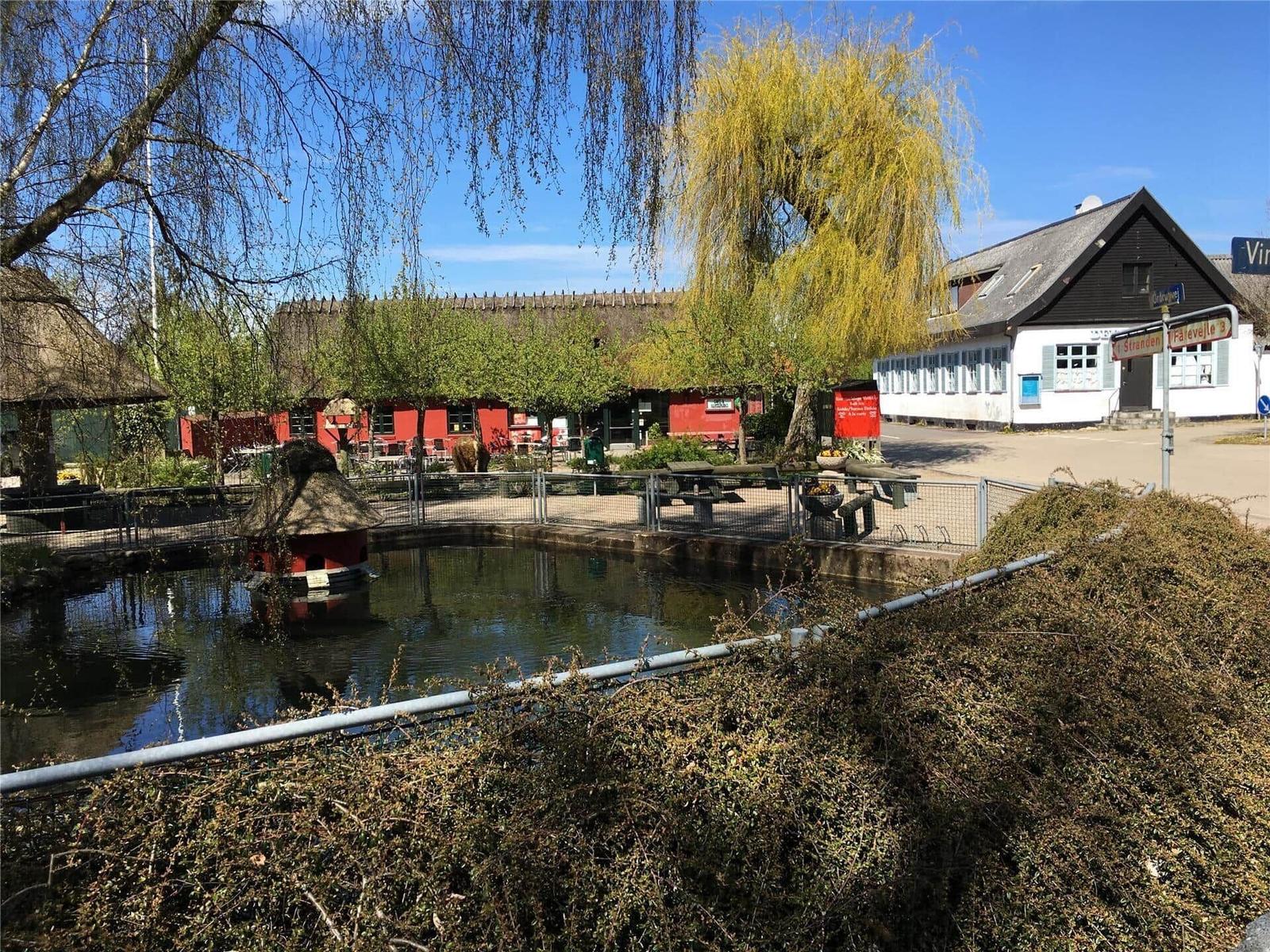 Küche mit Holzwand, weißen Schränken, Herd und Fenster