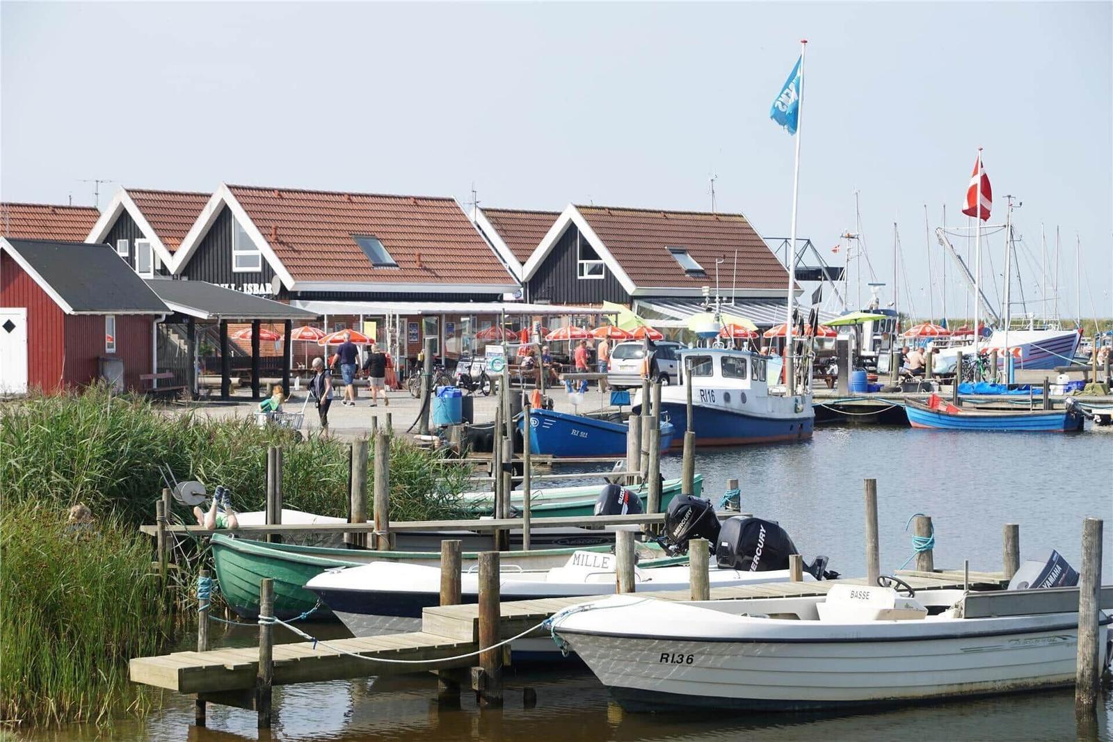 Hafen mit Booten, roten Häusern und grünem Gelände am Wasser.