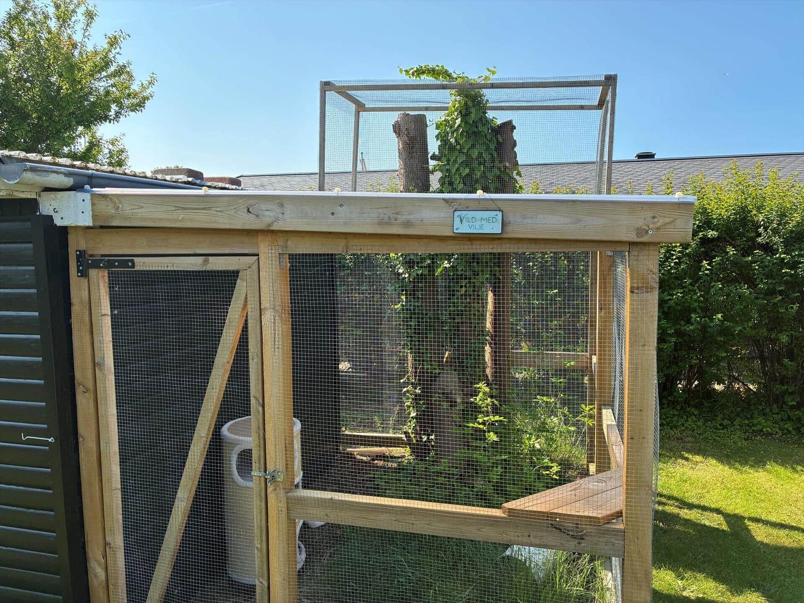 Garden area with dining table, bench and window. Wooden floor and roof structure.