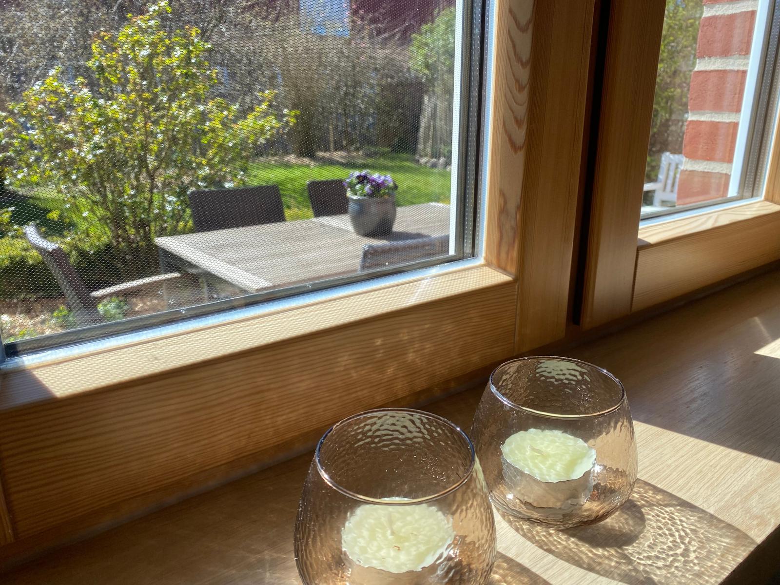 Blick in den Garten