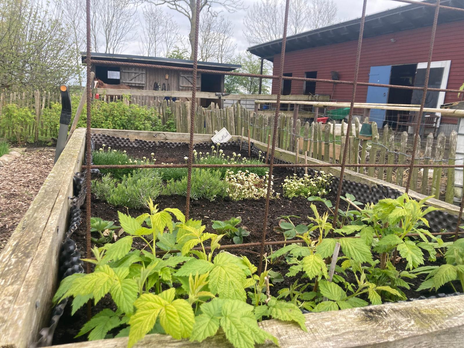 Gemüsegarten