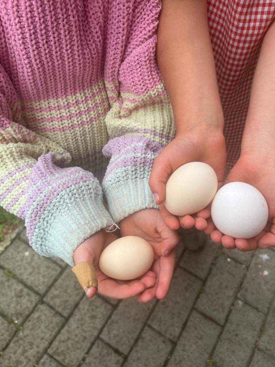 Frische Eier