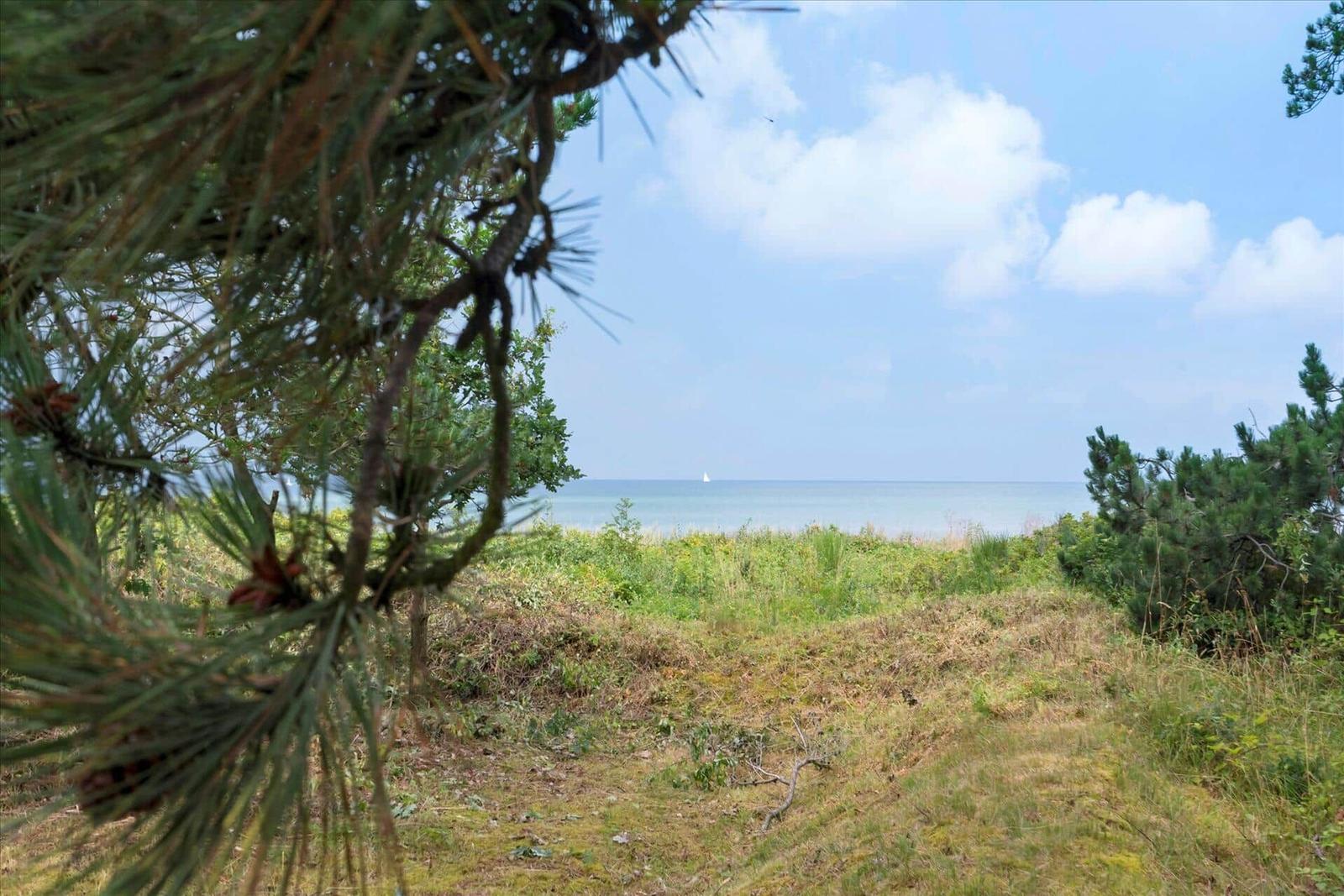 Drei Schafe grasen am Ufer eines Sees mit Blick auf eine Insel.
