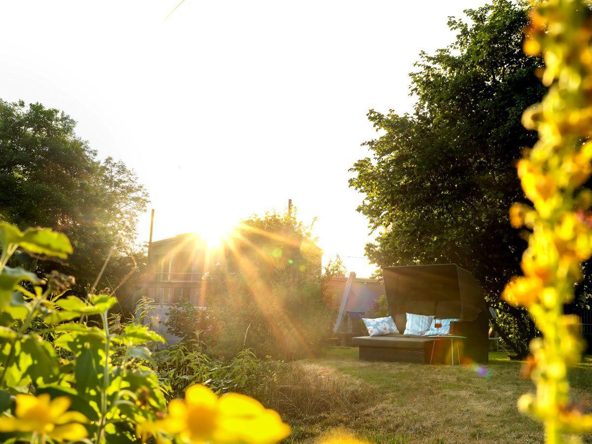 Auch Hunde können direkt am Ferienhaus in die Jagst springen und sich im kühlen Nass erfrischen
