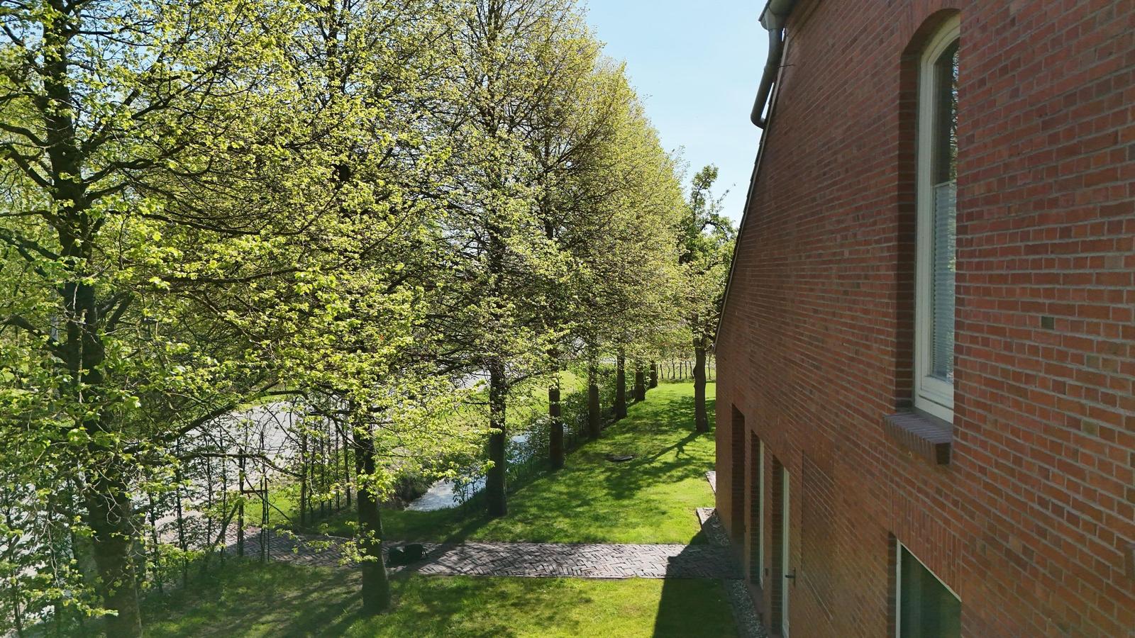 Rotes Backsteinhaus mit grünen Türen und Bäumen im Vorgarten.