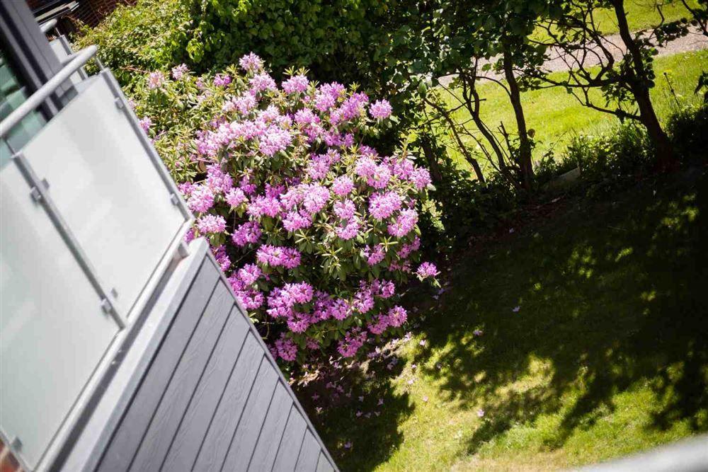 Garten...