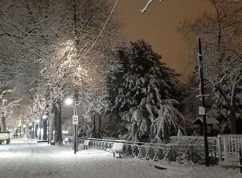 Winter in der Bummel-Allee (Herzog Wilhelm Straße)