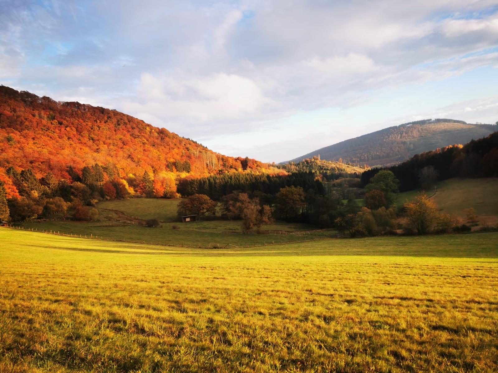 Blick ins Orketal bei herbstlichem Licht