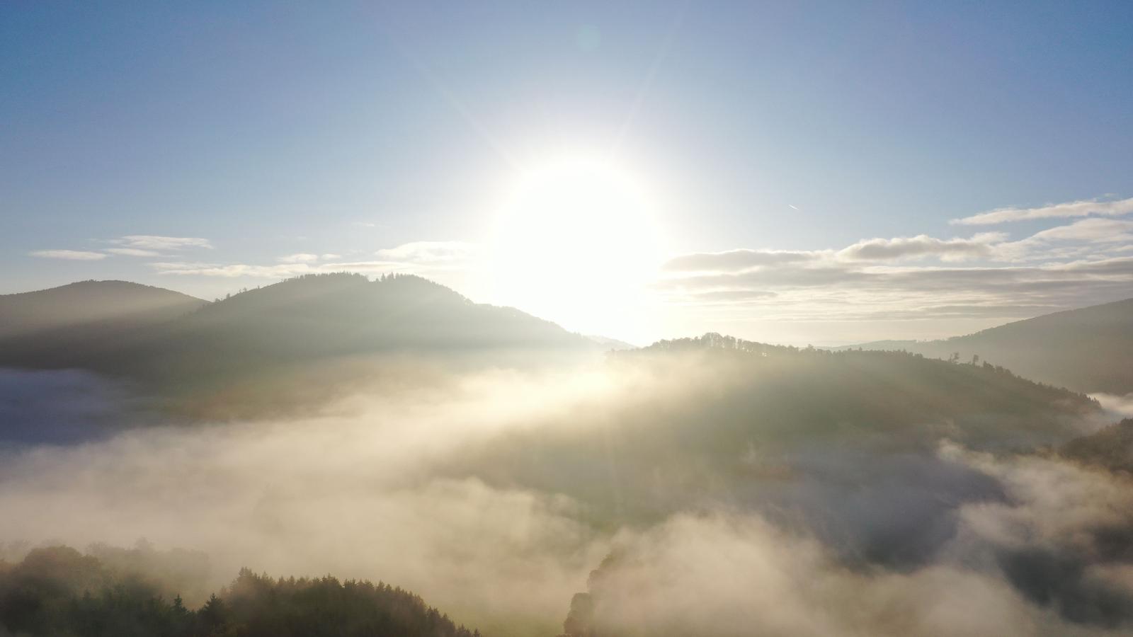 Sonnenaufgangsstimmung mit Nebelfeldern