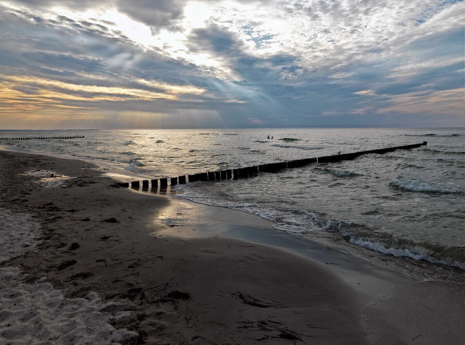 Strand mit Strandkörben und Dünen mit gelben Blumen im Vordergrund.