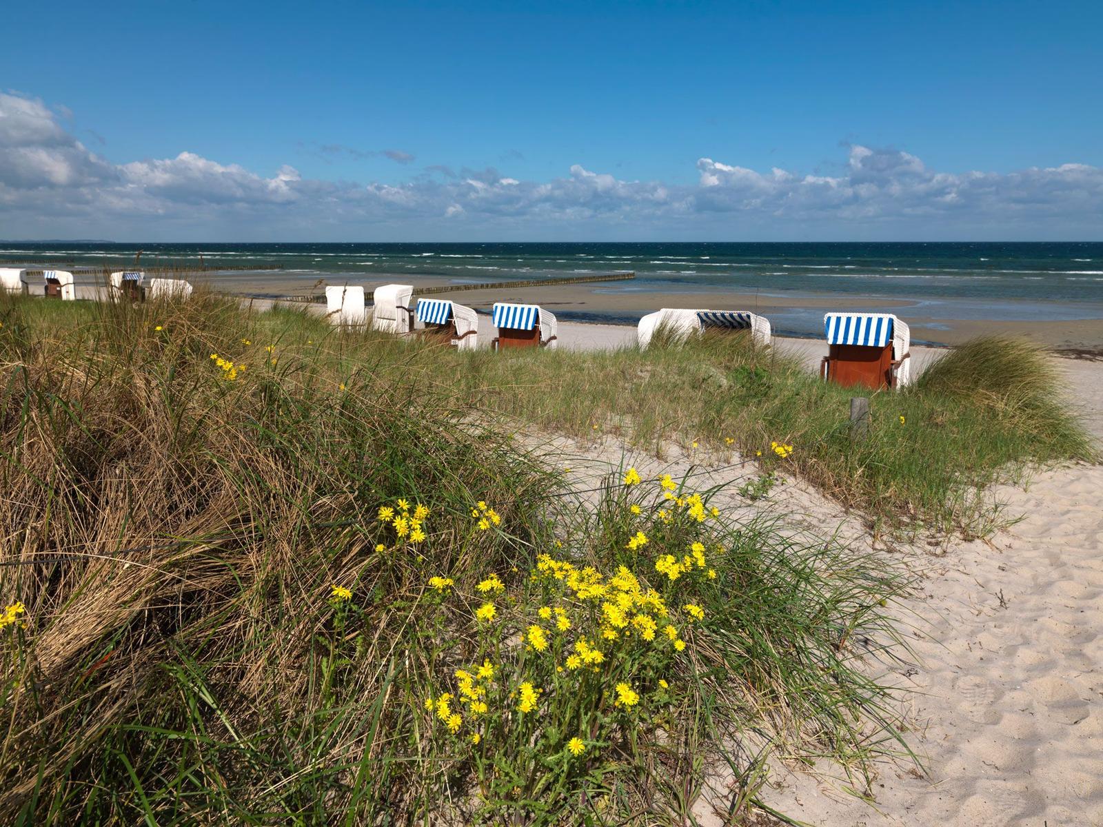 Strand mit Wellen und Holzpfählen unter bewölktem Himmel