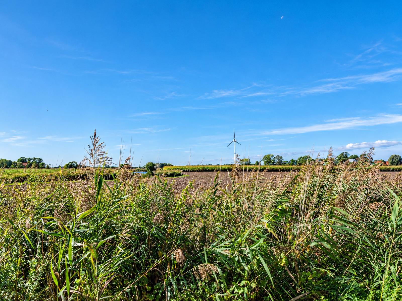 Landschaft