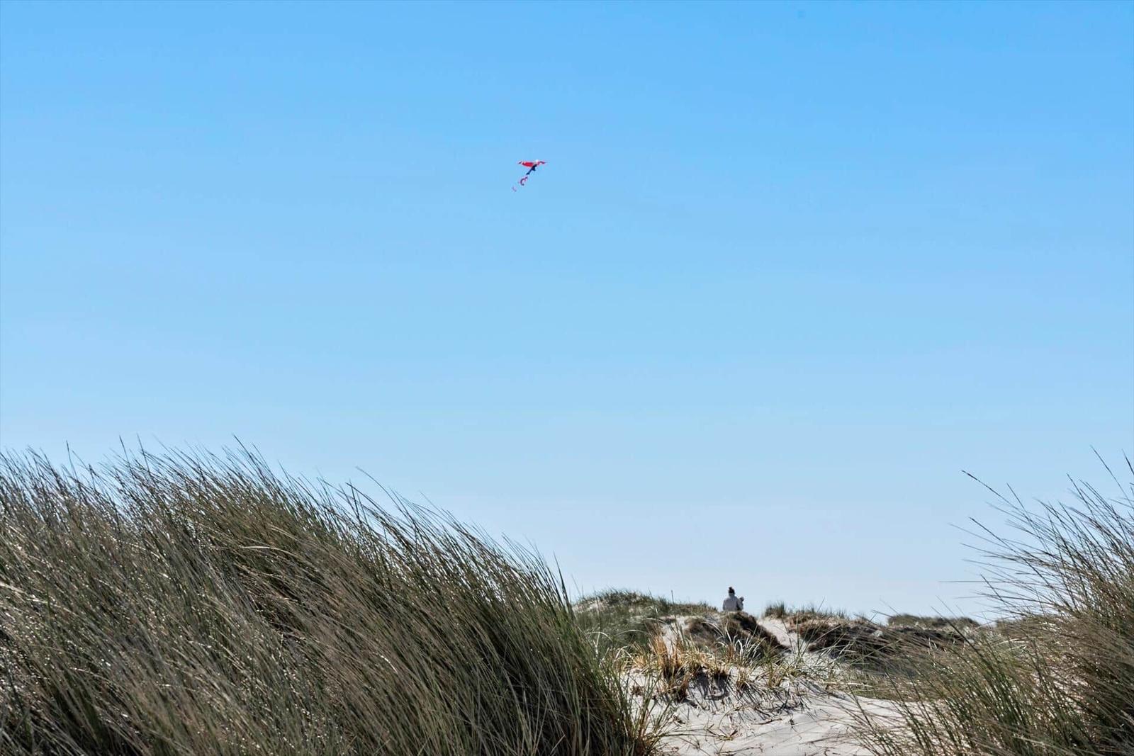 Dorfhäuser mit roten Akzenten vor Dünen mit Gras und Sand.
