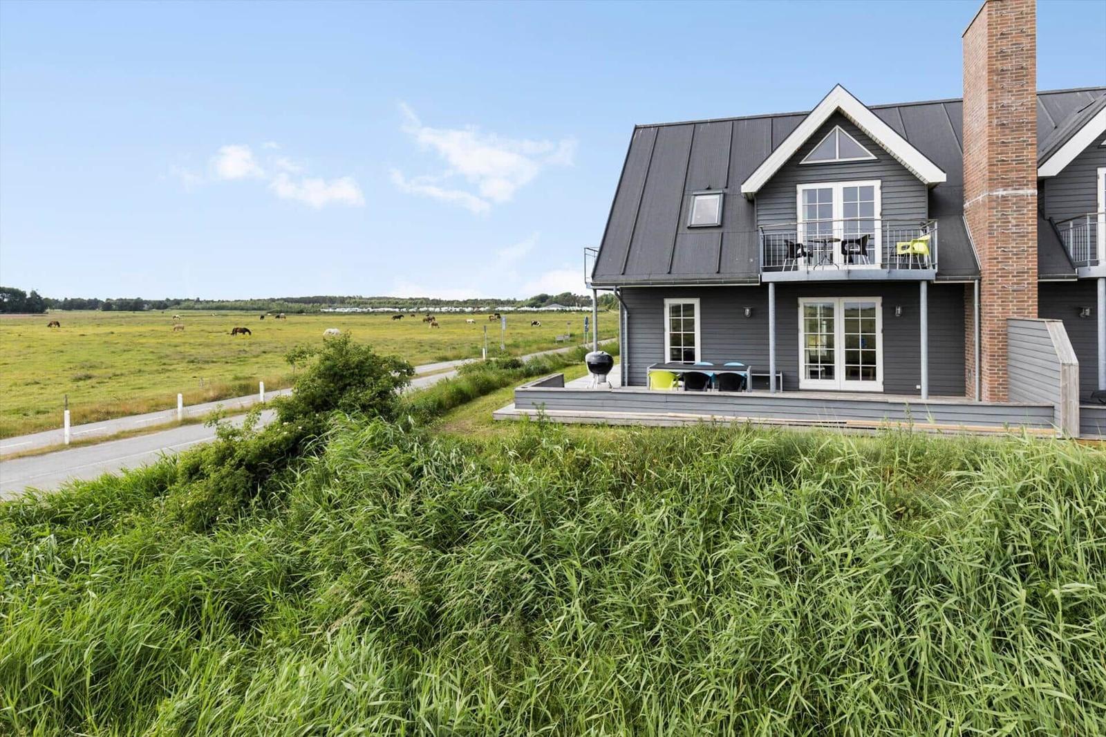 Moderne Villa mit Terrasse, Grill und Garten. Hintergrund: Grasland und Himmel.