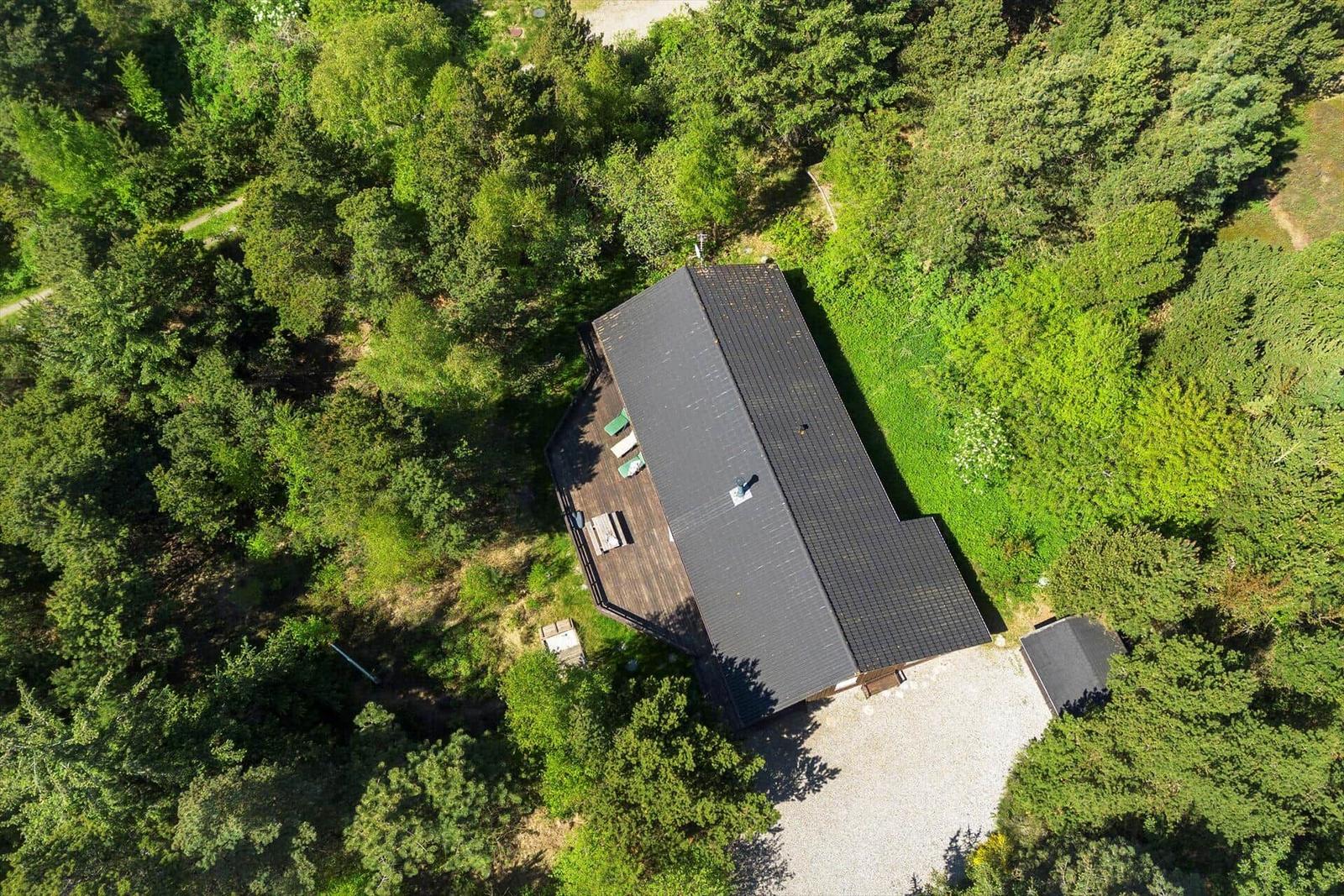 Zwei Liegestühle mit grünen Kissen auf einer Holterrasse mit Blick in den Wald.