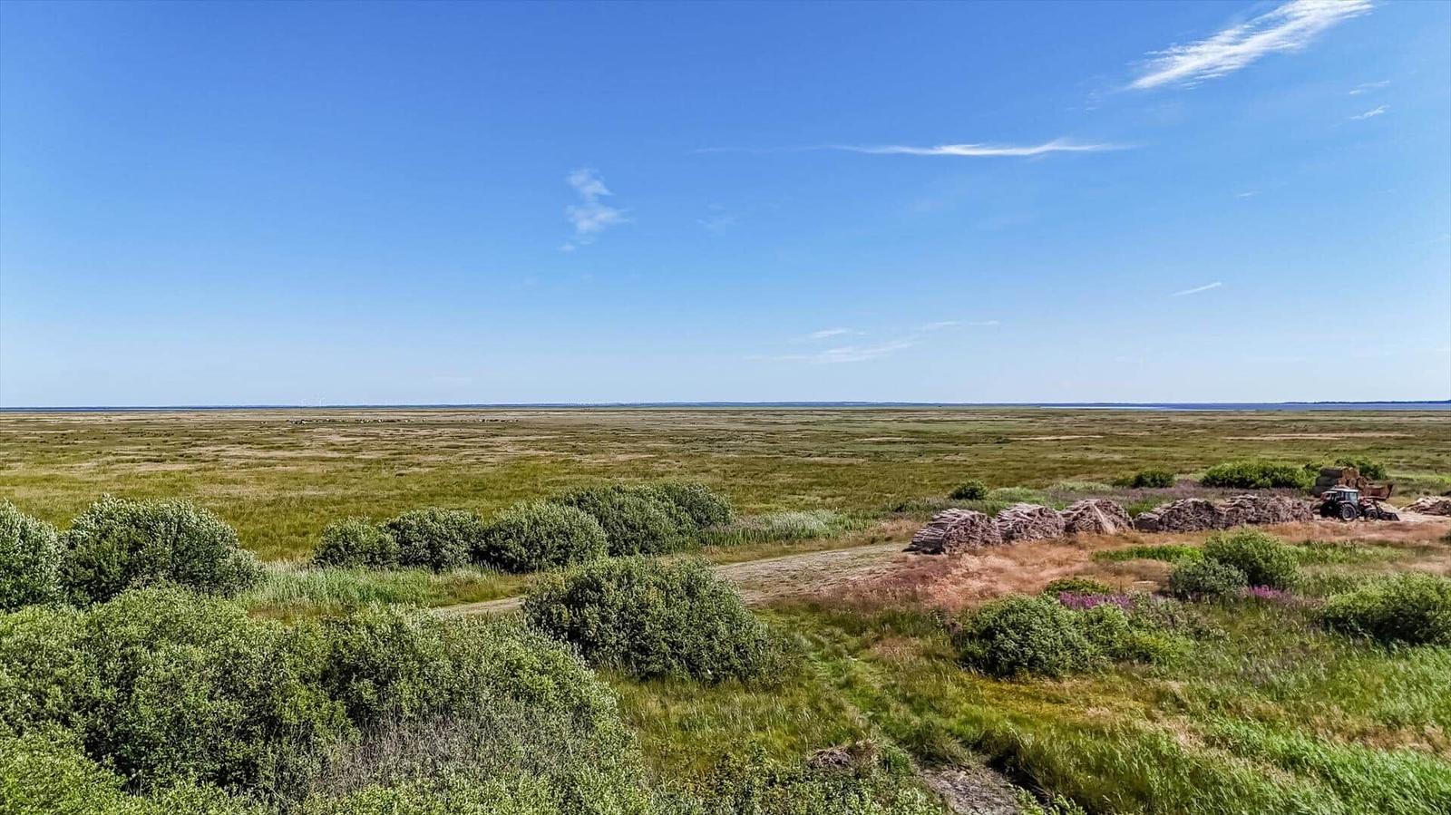Weitläufiges Grasland unter blauem Himmel mit Buschvegetation und einem Traktor im Hintergrund.