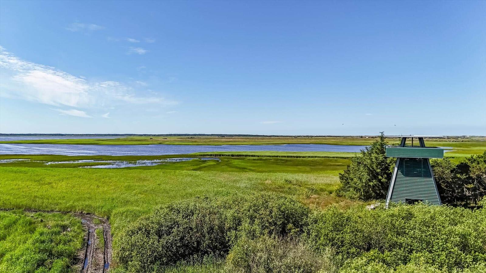 Weitläufige Grünfläche mit Wasser und einer grünen Aussichtsplattform.