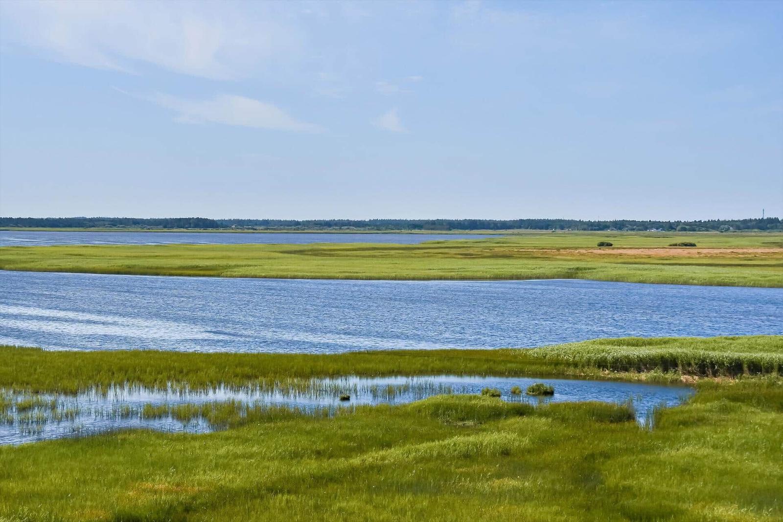 Weiteres Wasser und Grasland unter blauem Himmel