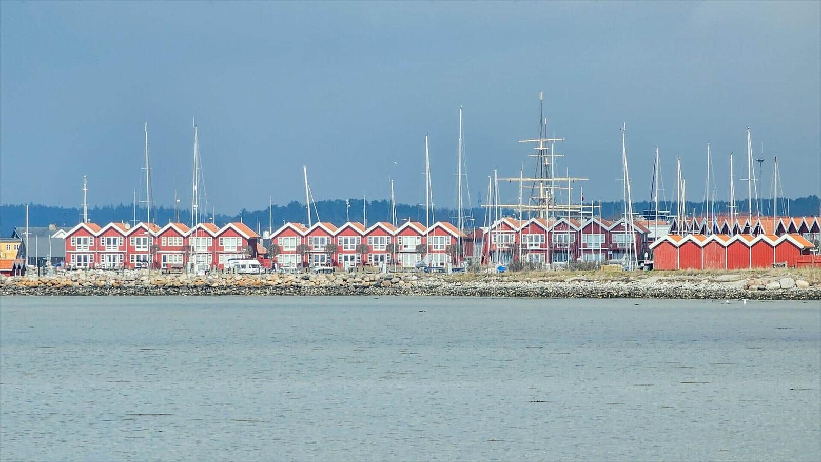 Rote Häuser am Wasser mit Segelyachten und Masten im Hintergrund.