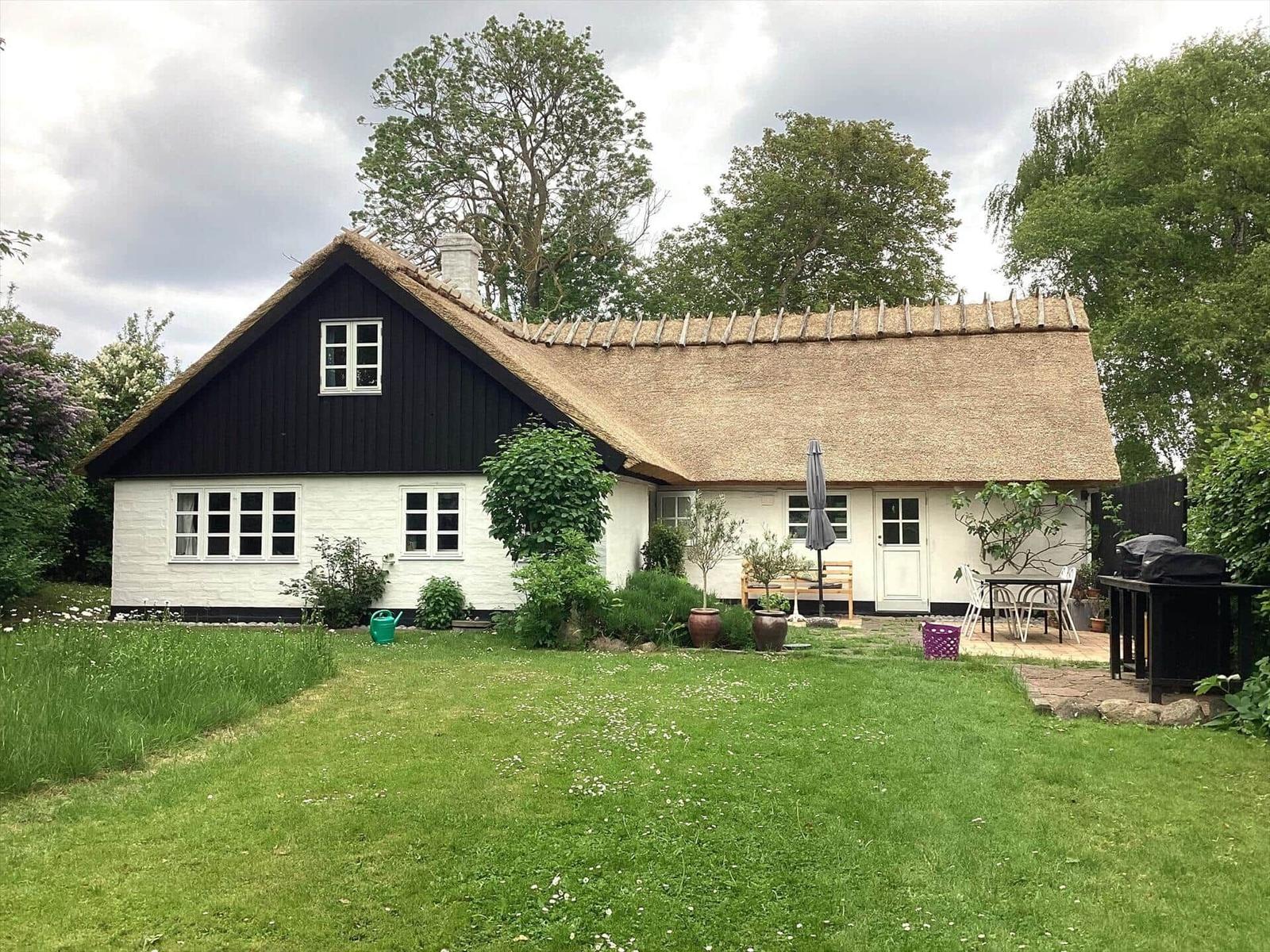 Grüner Garten mit Blumen und Bäumen. Im Hintergrund ist ein Gewächshaus zu sehen.