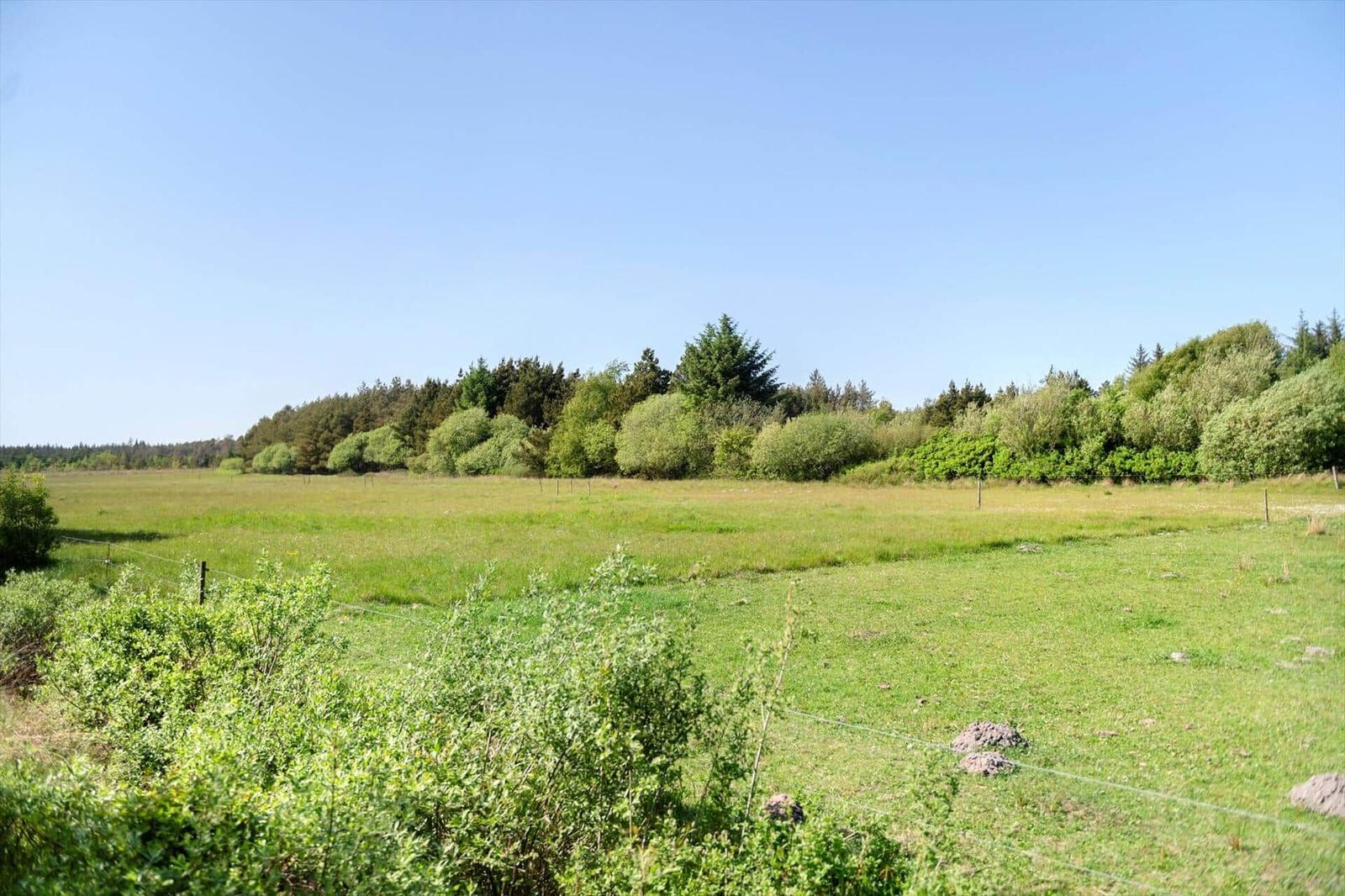 Weitläufiges Grasland mit Bäumen und Sträuchern im Hintergrund unter klarem Himmel.