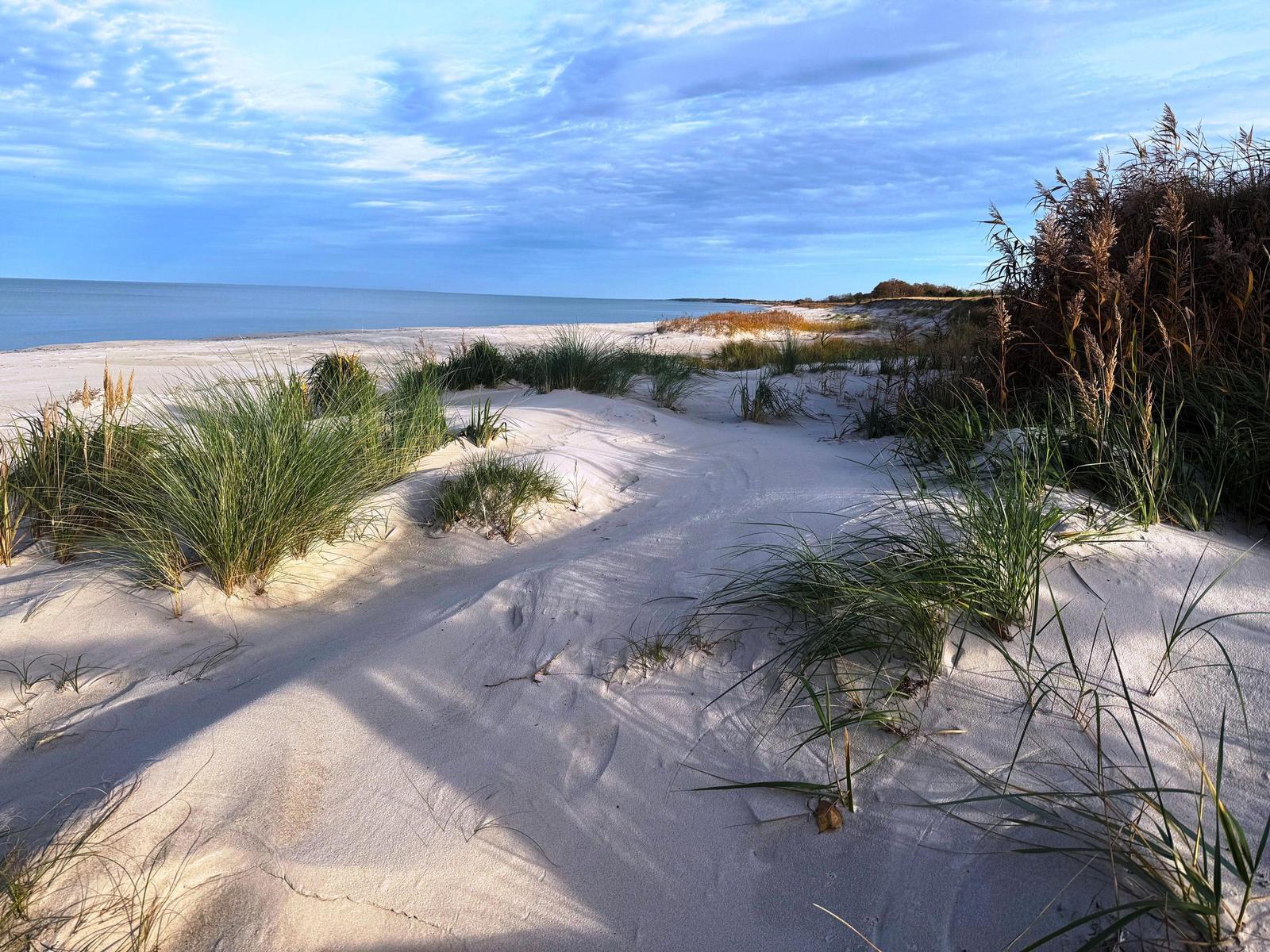 Wanderweg durch Sanddünen mit Strand und See im Hintergrund.