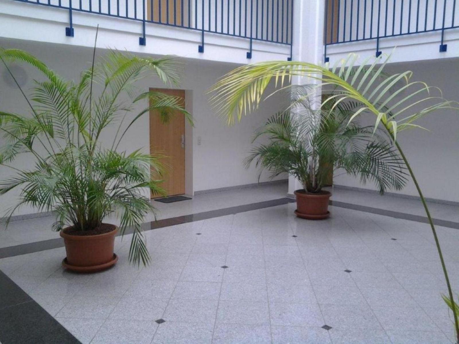 Dieses Grundrissbild zeigt eine Wohnung mit Küche, Wohn- und Schlafbereich sowie Badezimmer.