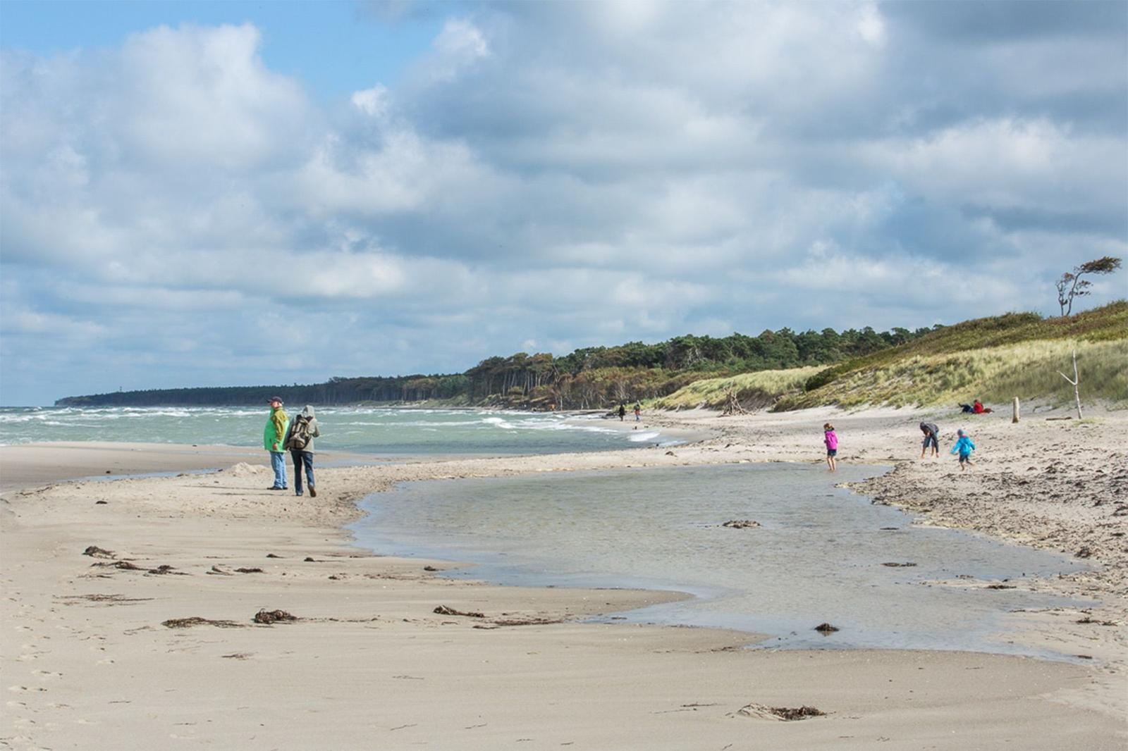 Sandstrand mit Dünen und Bäumen, Blick auf das Meer unter blauem Himmel mit weißen Wolken.