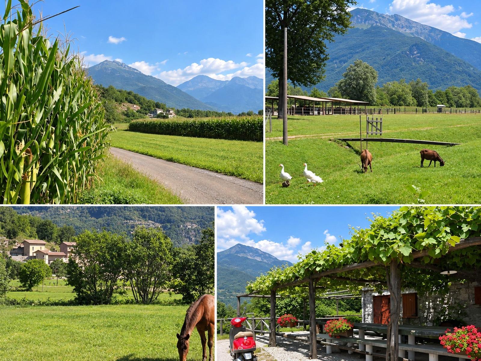 Borgo Erbiola Umgebung Natur, Wiesen und Felder