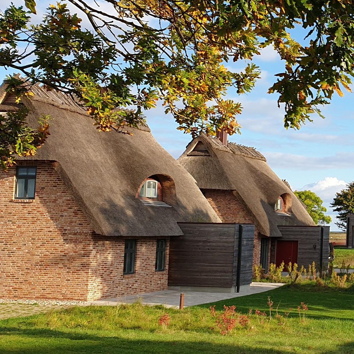 Sauna mit Holzbank und Tür. Nebenraum mit Fenster, Holztisch und Badematten.