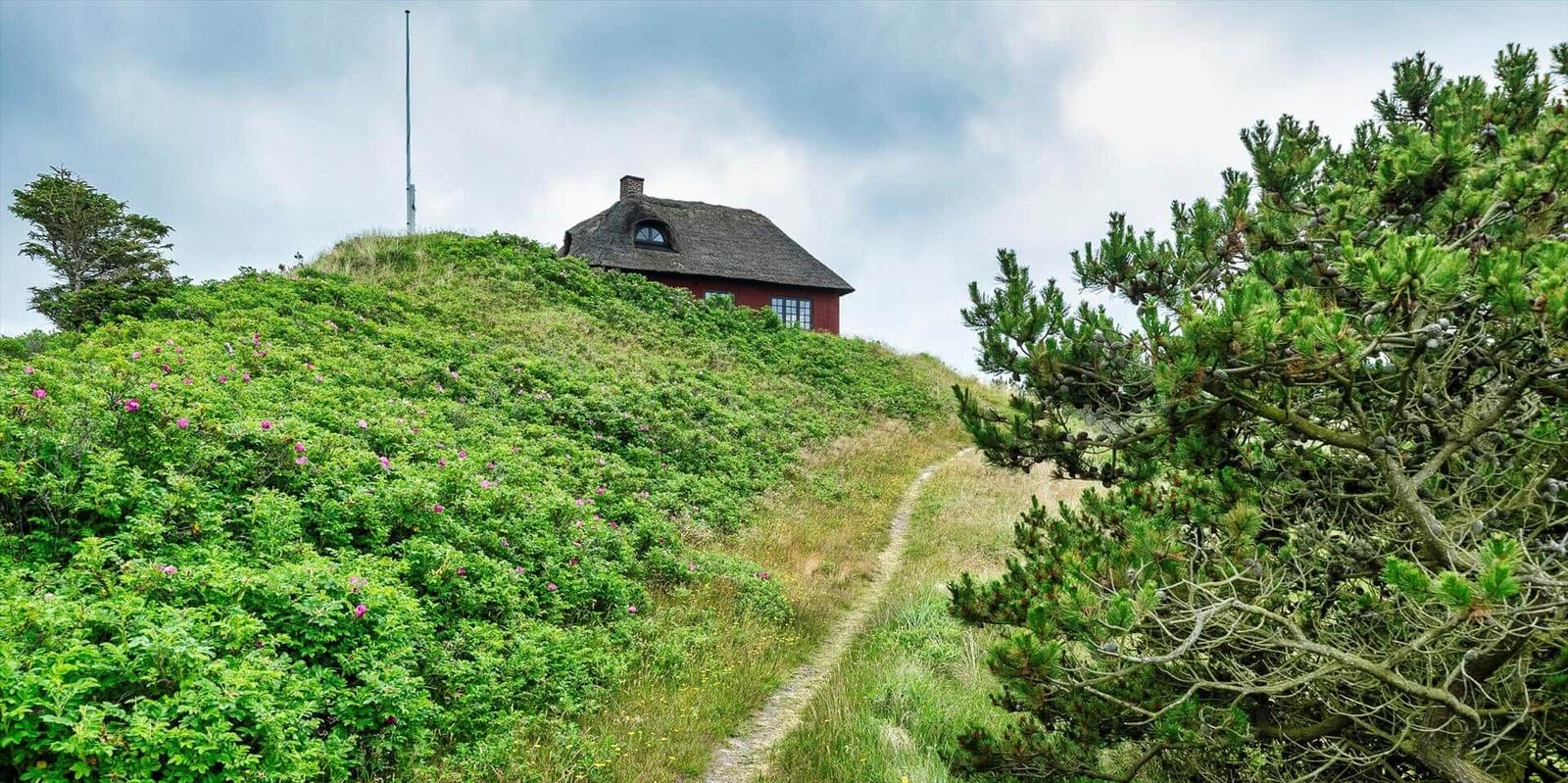 Roter Ferienhaus mit Strohdach und Terrasse mit blauen Sitzmöbeln und weißem Tisch.