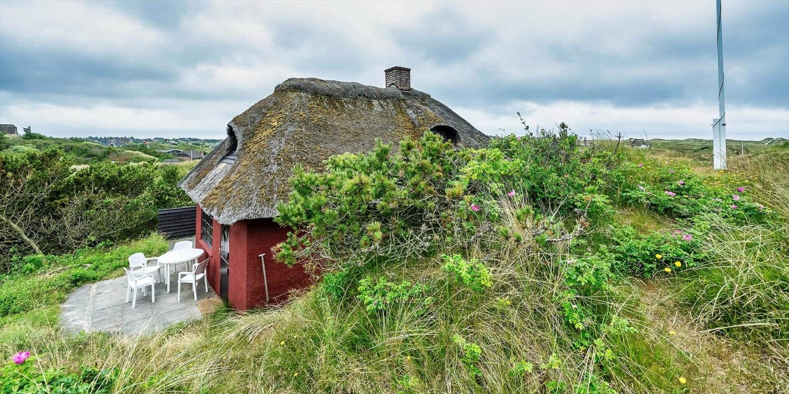 Blick durch ein halbrundes Fenster auf eine grüne Landschaft mit wildem Gras und Büschen.