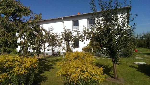 familienfreundliche Ferienwohnung "Bärenklau" im Ferienhaus Michel in