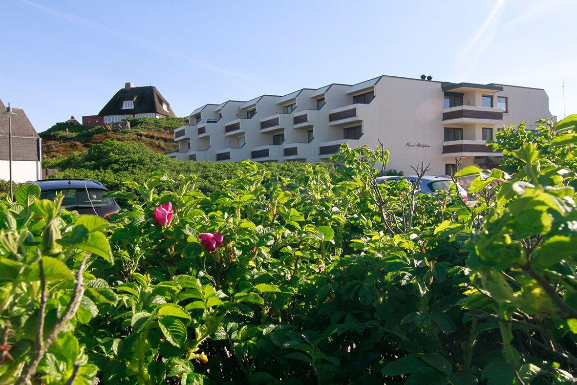 Vorschau 1