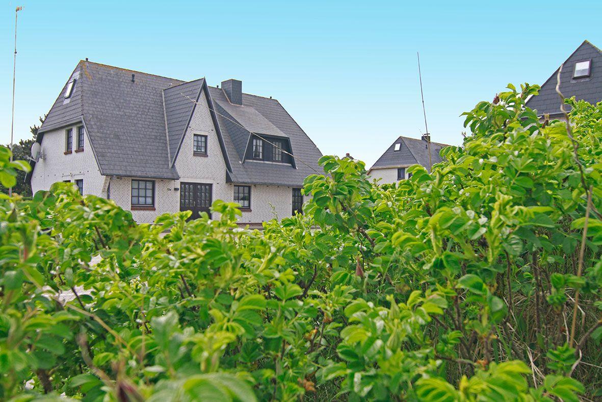 Dünen-Nest